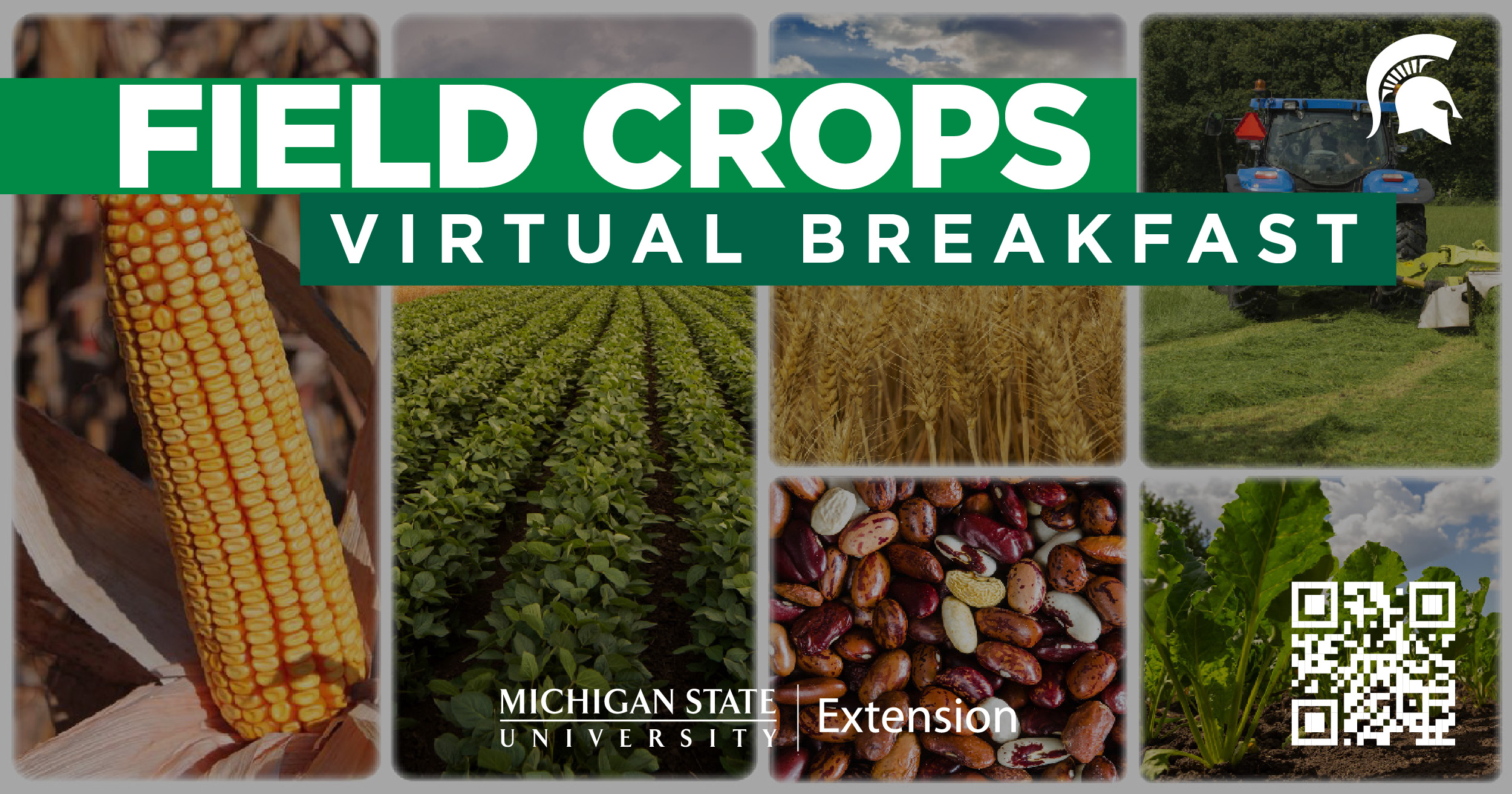 2024 field crops virtual breakfast.jpg